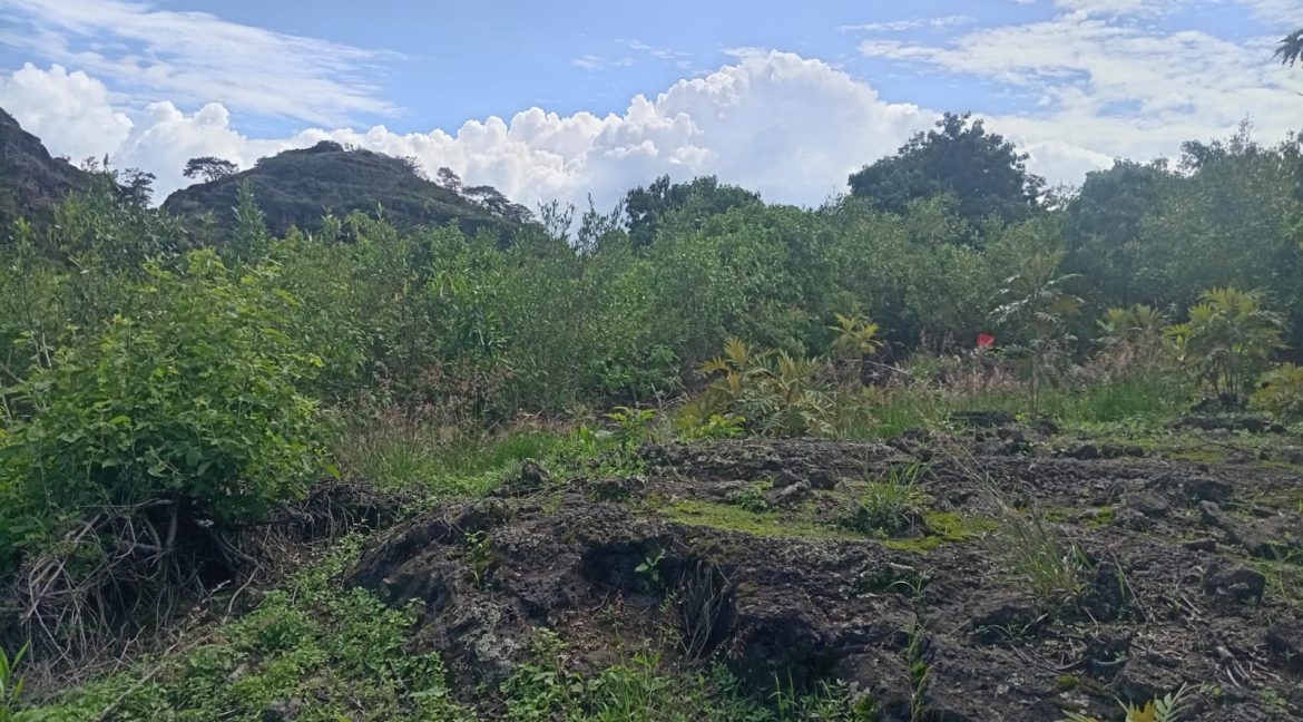 6e739e48-e623-454b-b3cf-16aad94d8efd