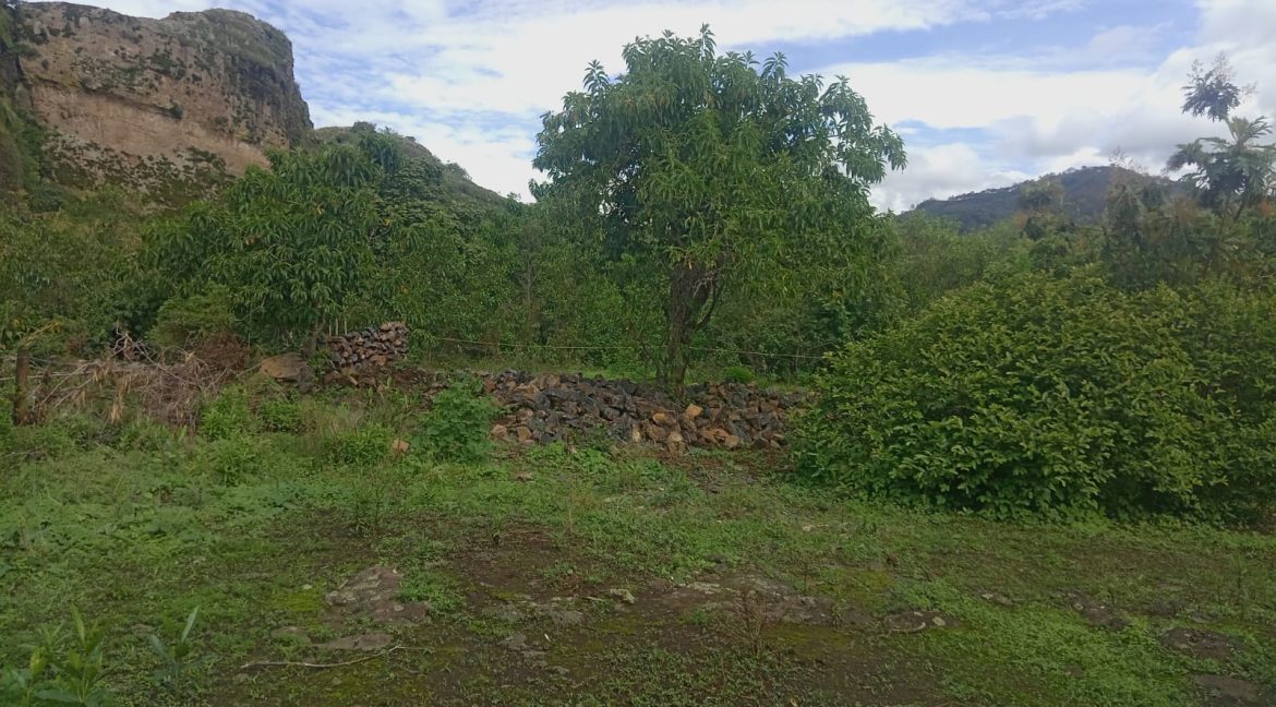 6fe08644-be54-4bb3-8bff-e611a33a3626