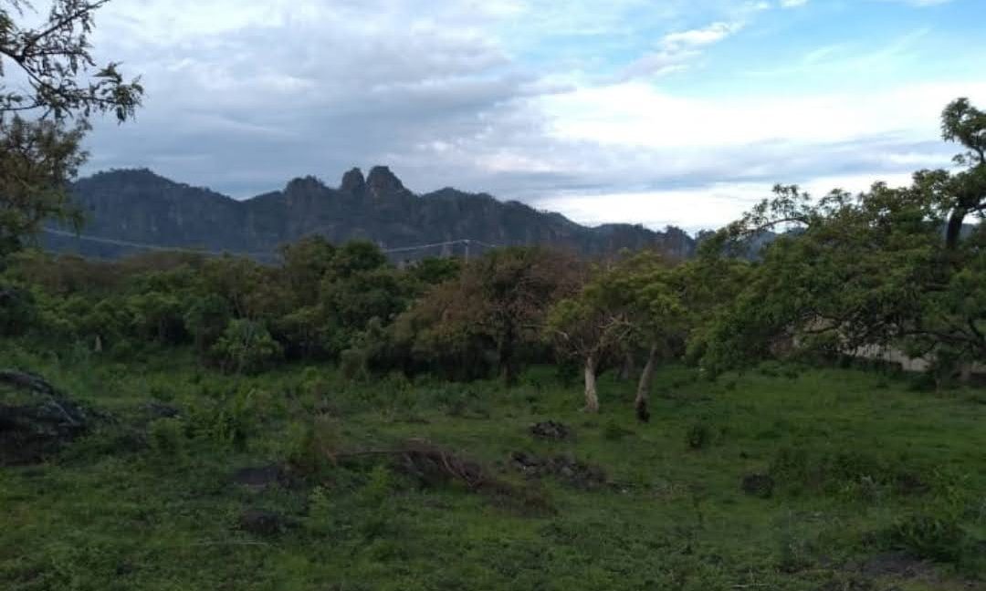 745d18ec-31e7-4267-b82e-05be5cac0c9b