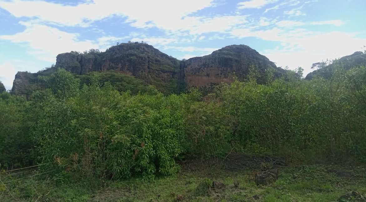 82a42e76-183c-438a-a0fb-c84c5357a6d7