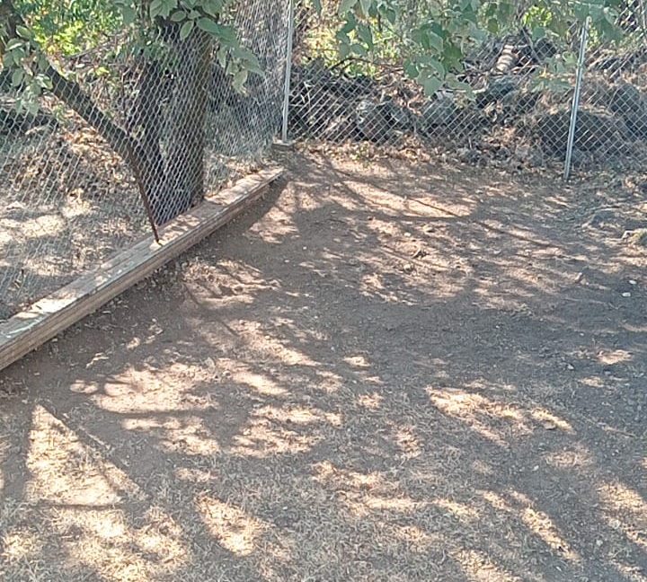 WhatsApp Image 2025-12-22 at 11.27.49 AM