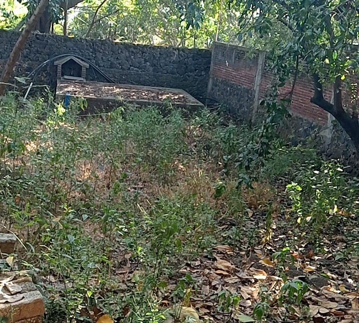 WhatsApp Image 2025-12-22 at 8.34.12 PM