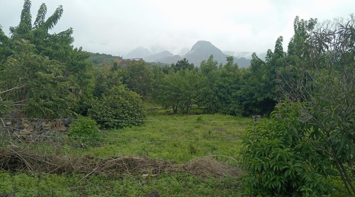 b15650d4-054c-4b6a-8217-fda987e1e0ec