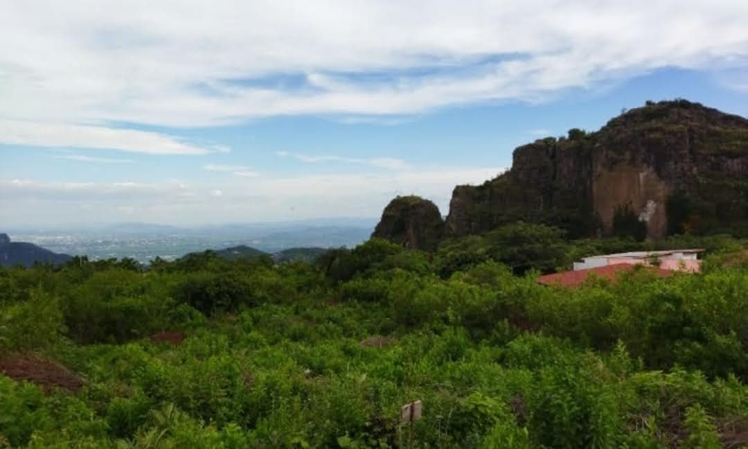 cfa861b2-16c1-44e0-bb99-da5c88ad859b