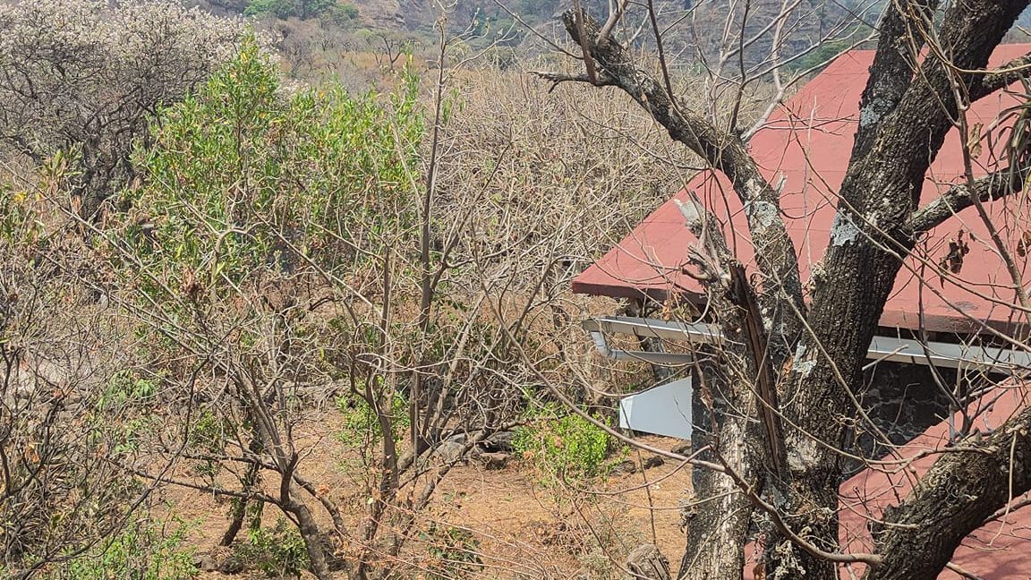 279345847_4578375548928672_6023240347484362432_n