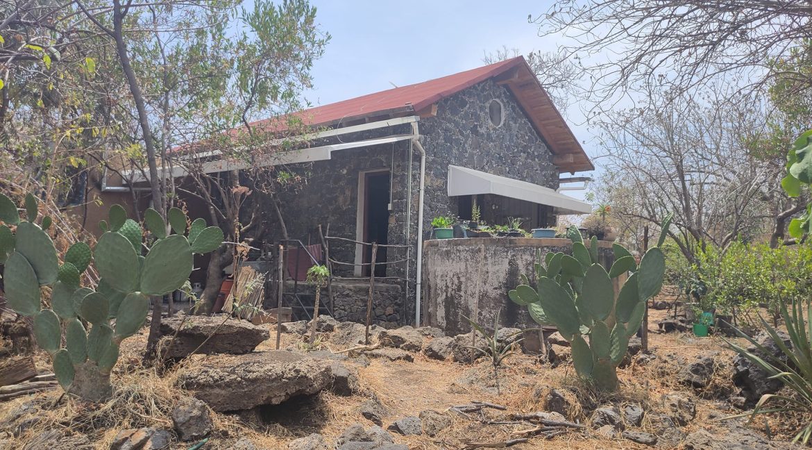 279354886_4578376892261871_1490551476546420168_n