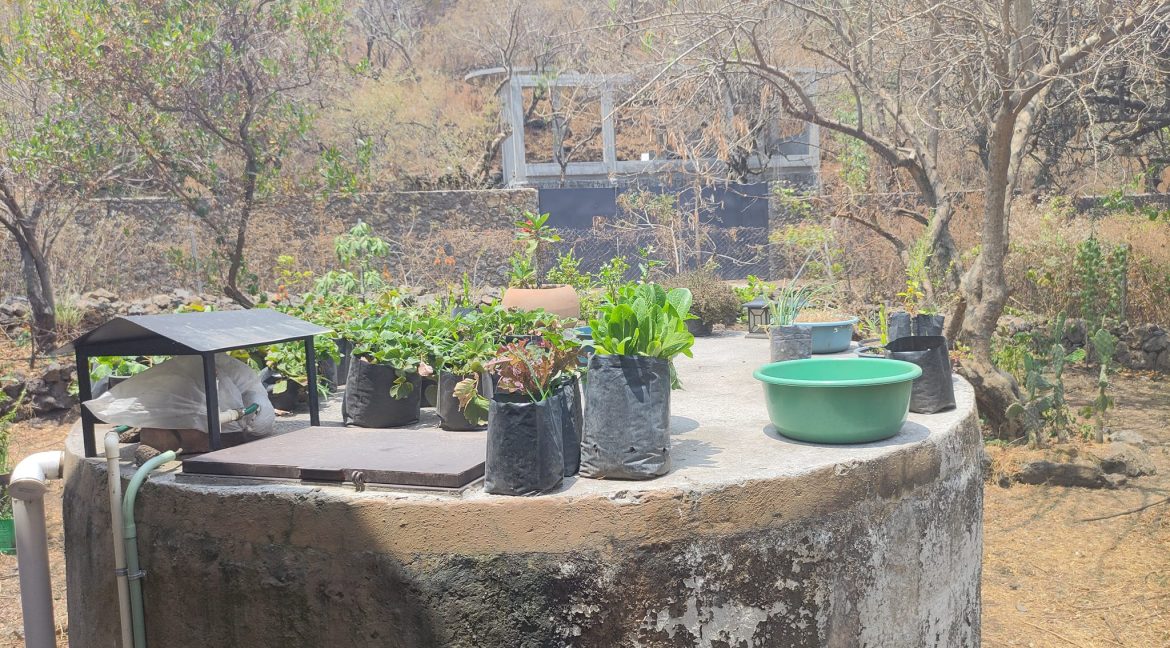 279401088_4578376978928529_8042252569422981674_n