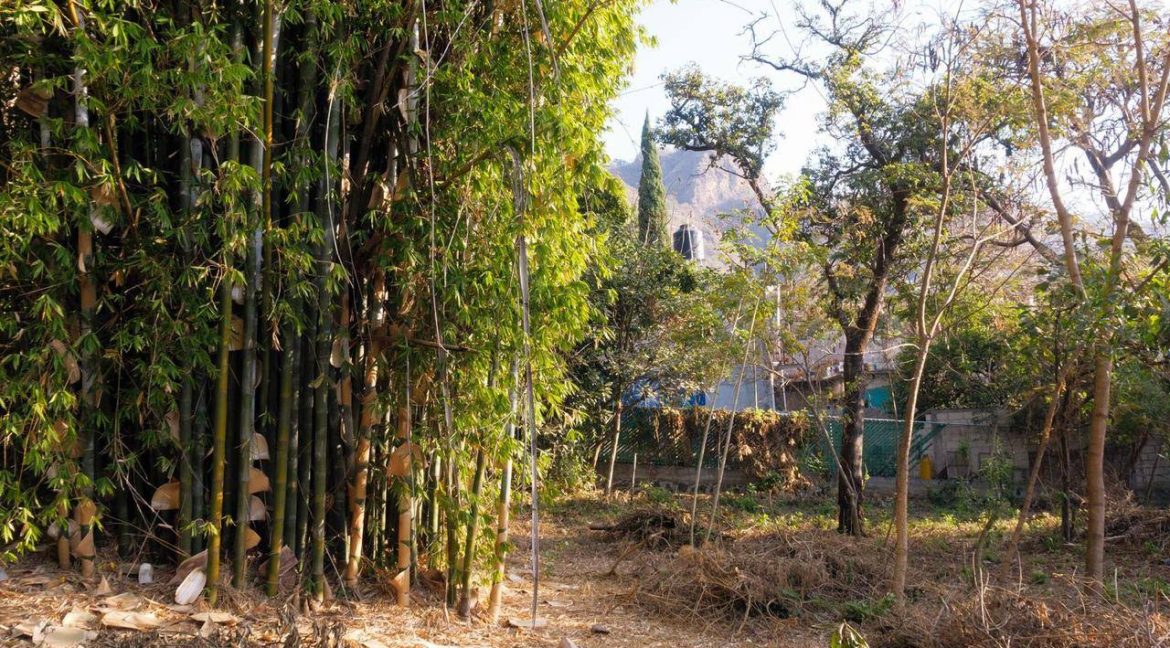 619997252_1544708264325194_160991998704337623_n