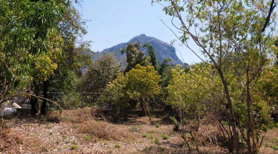 620062283_1544705130992174_2714644278392429780_n