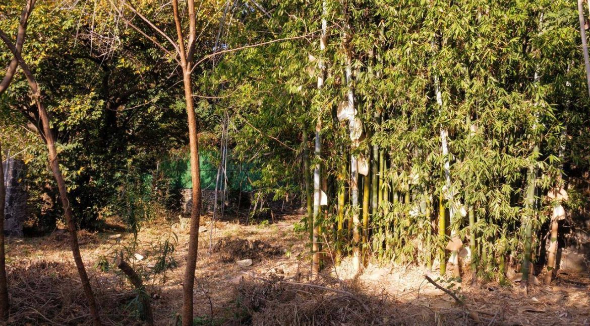 621798155_1544705090992178_1917457557975618960_n