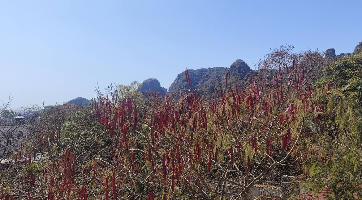 624515928_1548889950573692_1708155728612047768_n