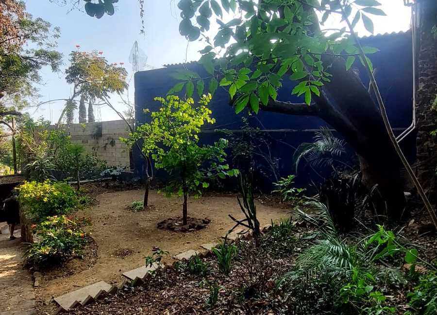 WhatsApp Image 2025-01-03 at 7.40.20 PM