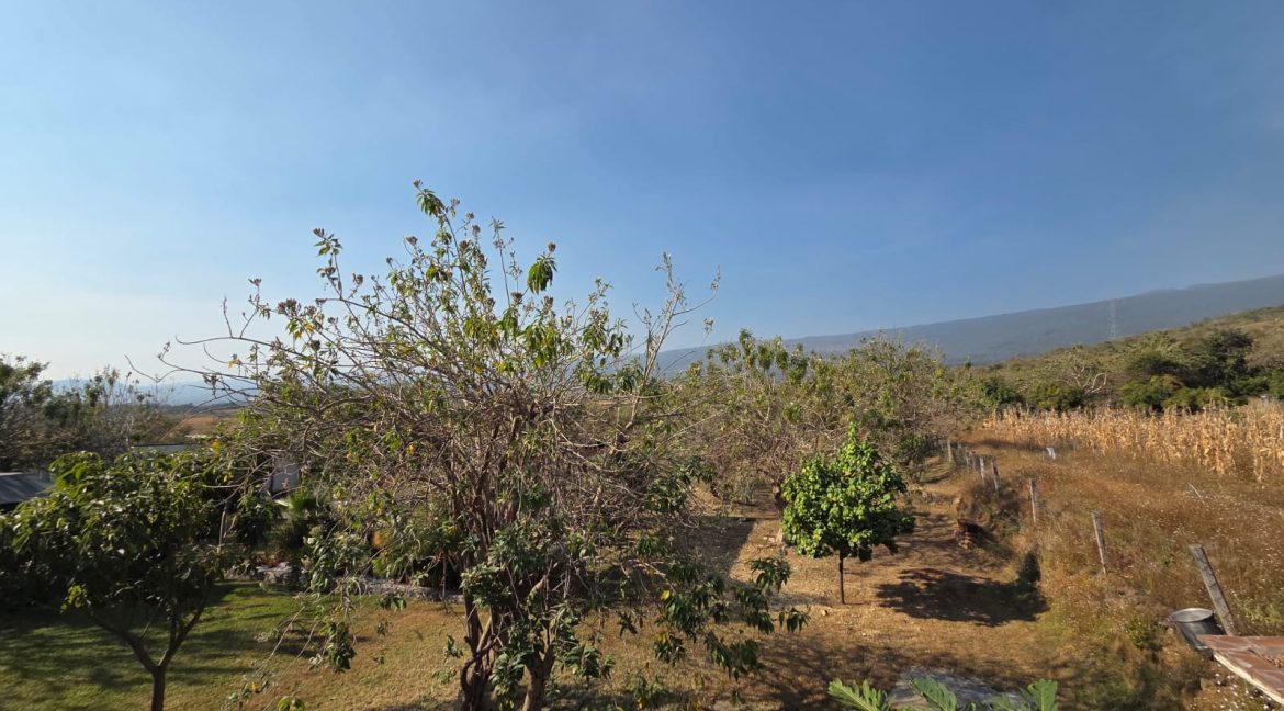 WhatsApp Image 2026-01-13 at 10.15.54 AM (3)