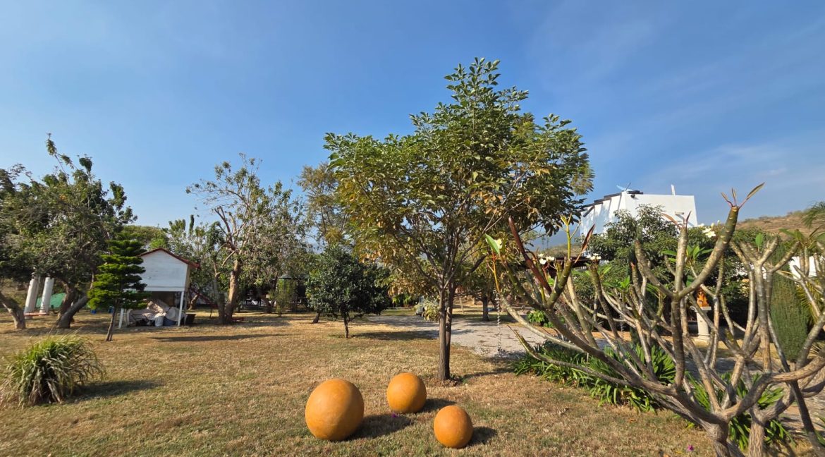 WhatsApp Image 2026-01-13 at 10.15.55 AM (3)