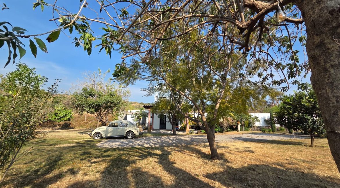 WhatsApp Image 2026-01-13 at 10.15.55 AM (4)