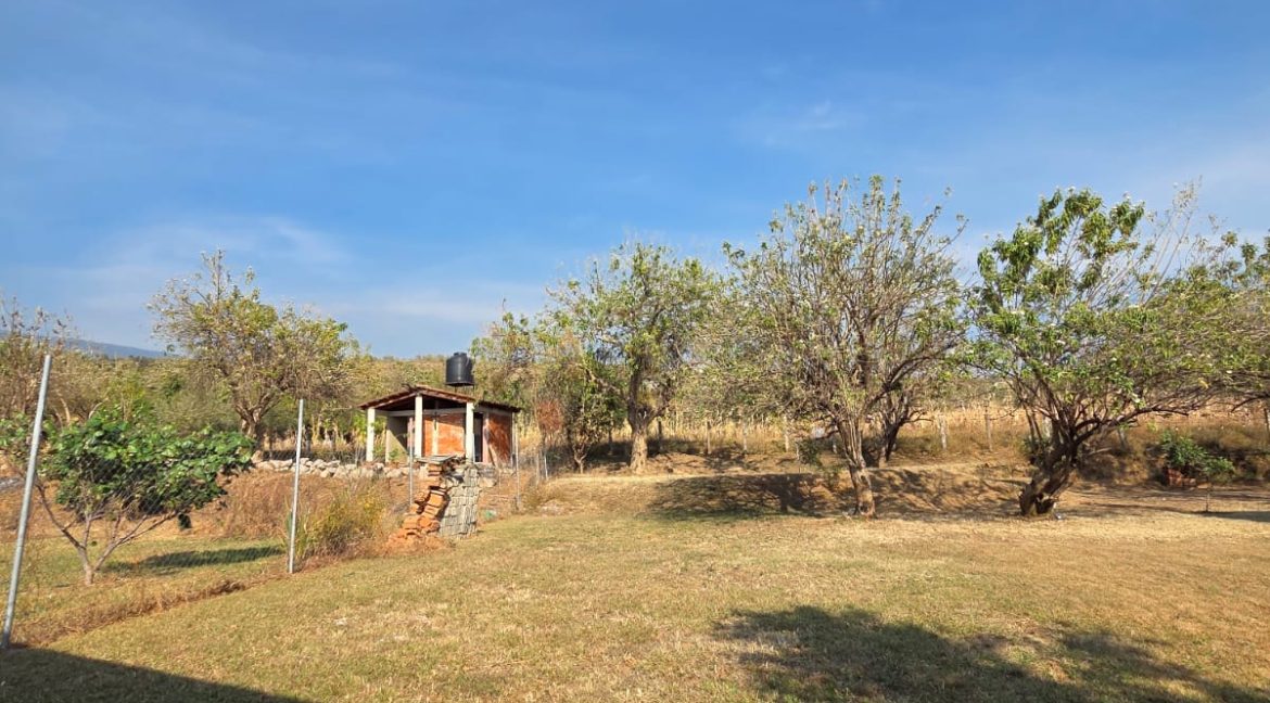 WhatsApp Image 2026-01-13 at 10.15.57 AM (2)