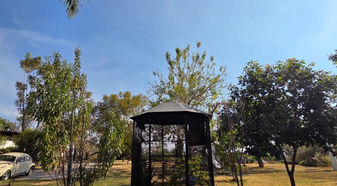 WhatsApp Image 2026-01-13 at 10.15.57 AM (6)