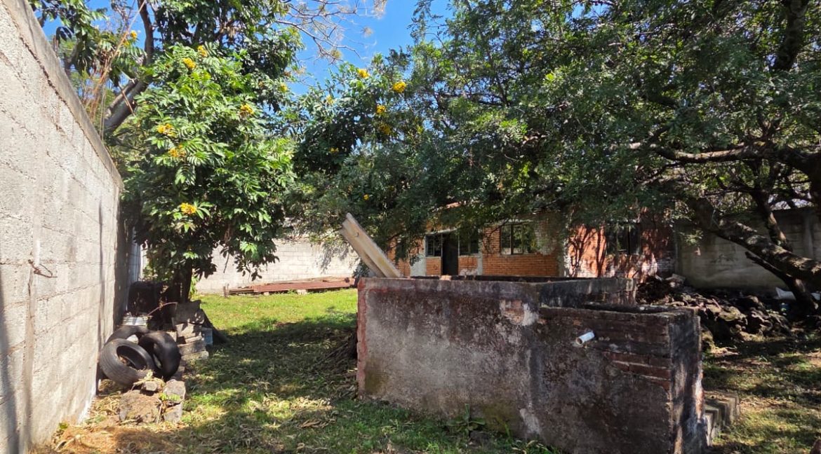 WhatsApp Image 2026-01-22 at 11.09.41