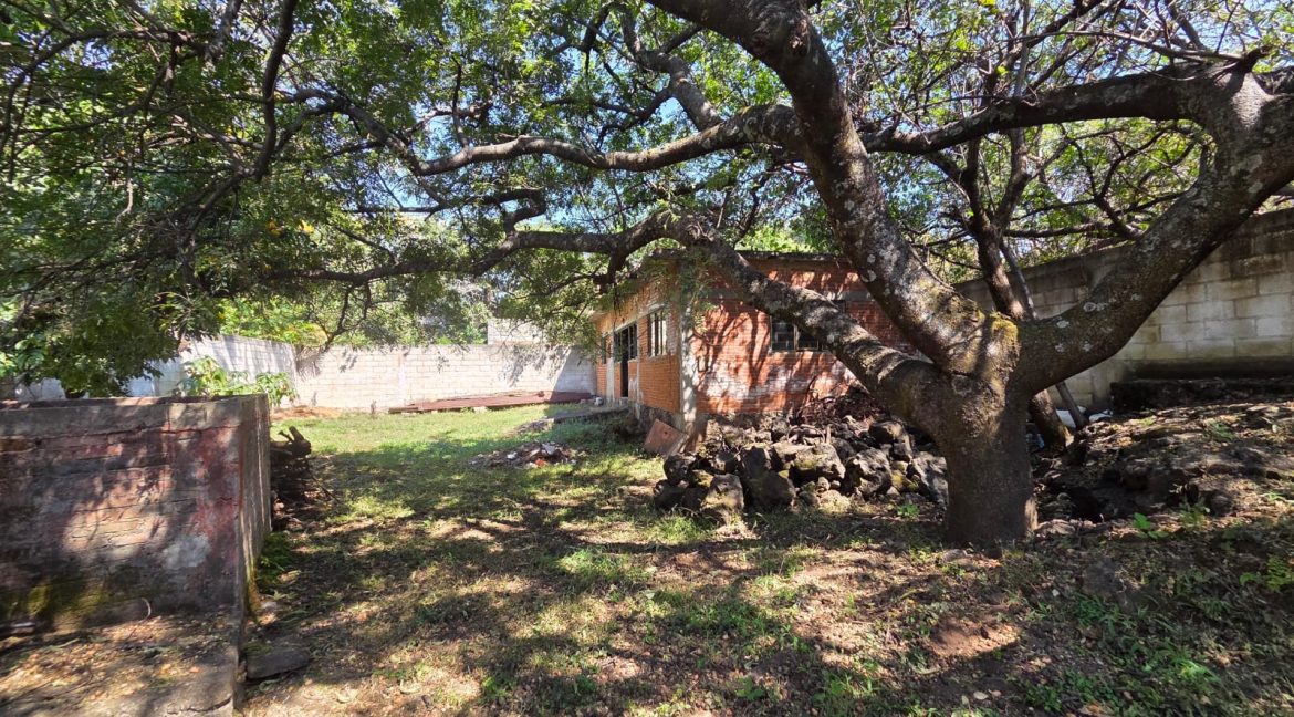 WhatsApp Image 2026-01-22 at 11.09.41 (2)