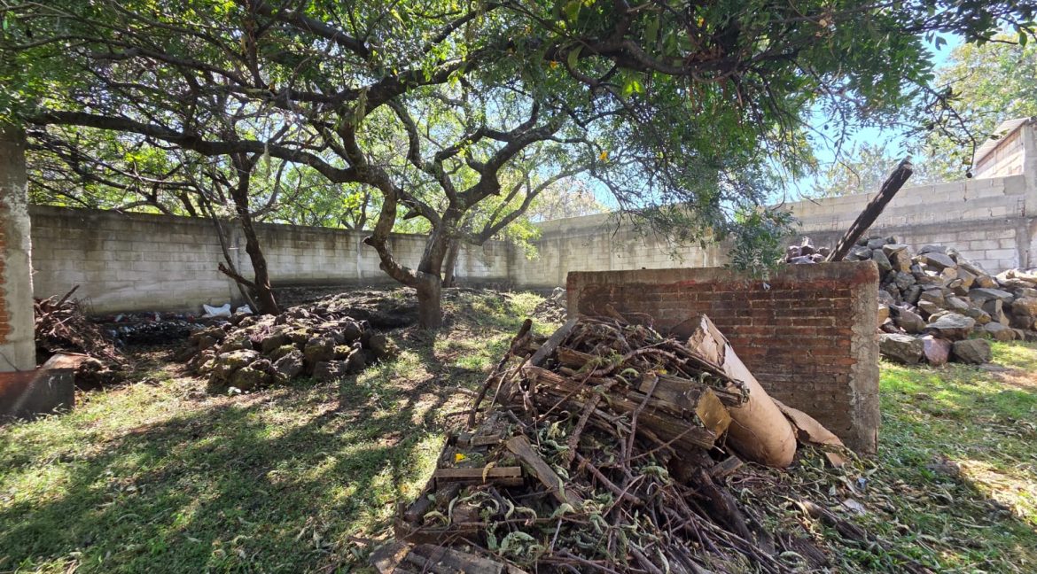 WhatsApp Image 2026-01-22 at 11.09.41 (5)