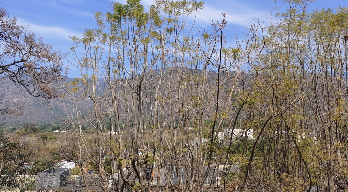 629607132_1561126346016719_8642657573750222537_n