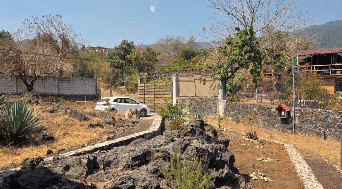 WhatsApp Image 2026-02-26 at 12.44.10 (1)