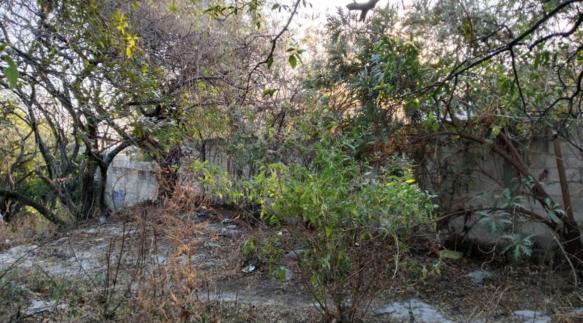 WhatsApp Image 2026-02-26 at 16.12.03