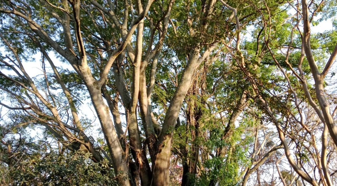 WhatsApp Image 2026-02-26 at 16.12.08 (1)