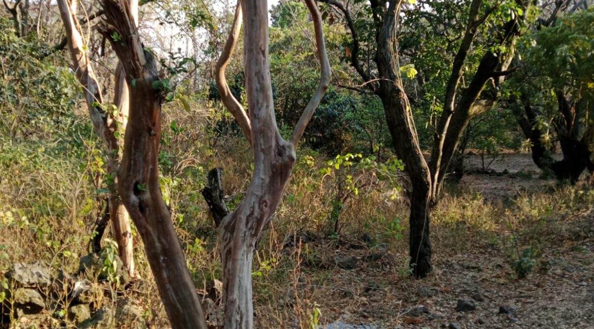 WhatsApp Image 2026-02-26 at 16.12.08