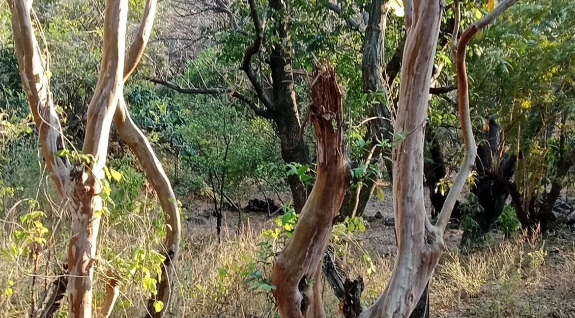 WhatsApp Image 2026-02-26 at 16.12.09