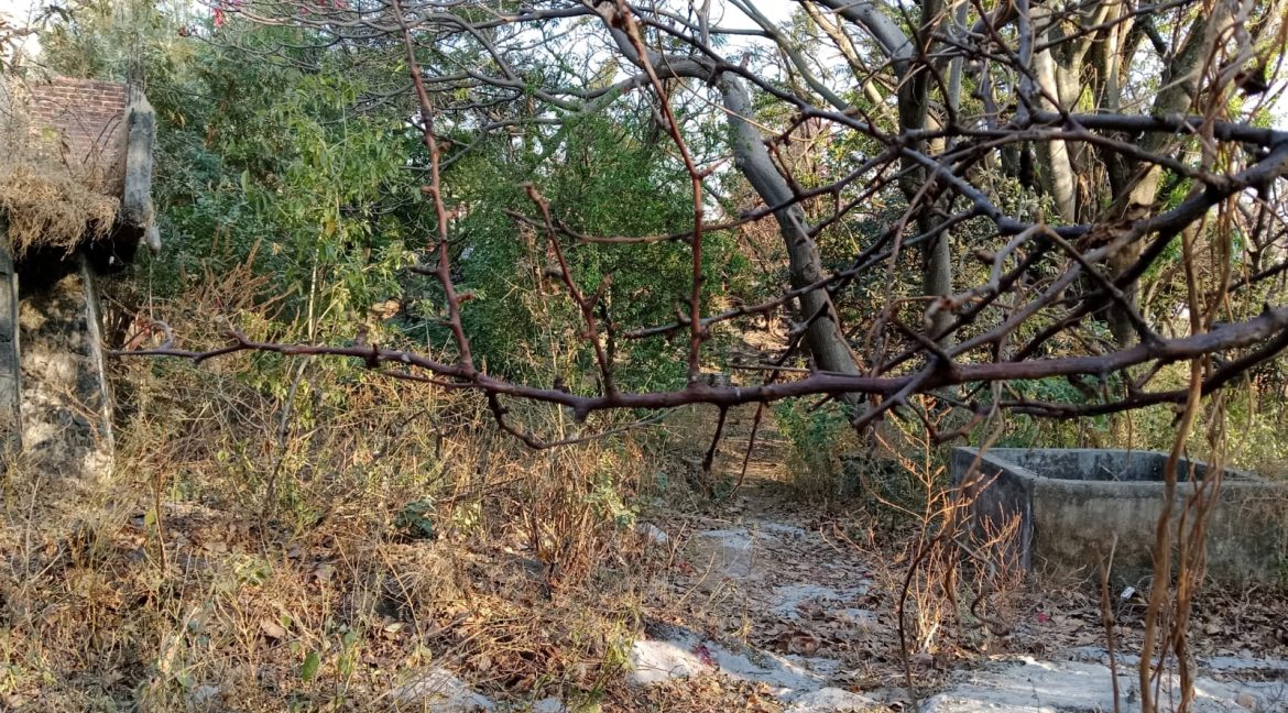 WhatsApp Image 2026-02-26 at 16.12.10