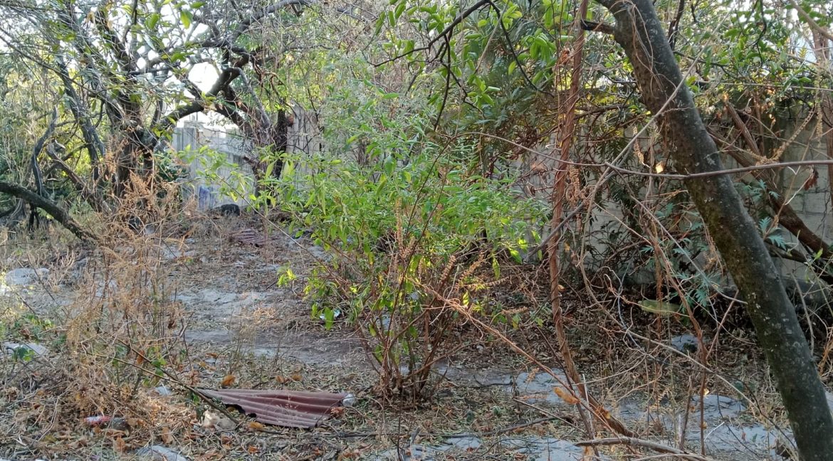 WhatsApp Image 2026-02-26 at 16.12.12 (1)