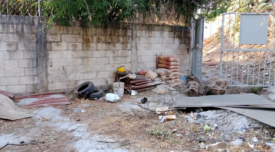 WhatsApp Image 2026-02-26 at 16.12.12