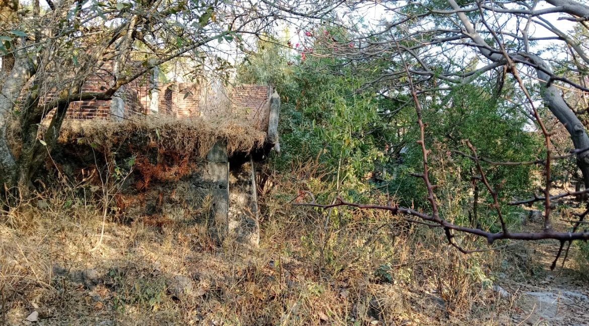 WhatsApp Image 2026-02-26 at 16.12.12 (2)