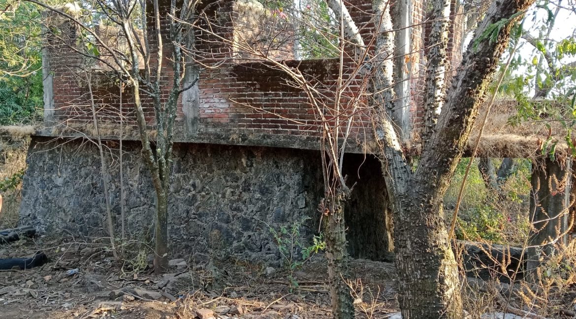 WhatsApp Image 2026-02-26 at 16.12.13