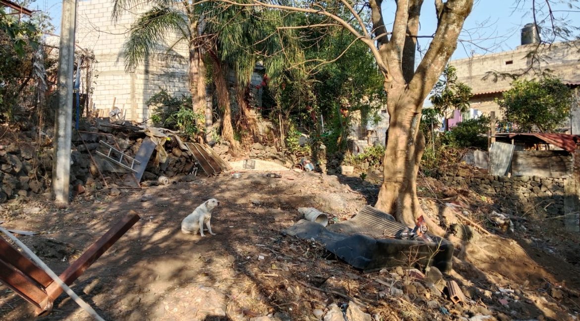 WhatsApp Image 2026-02-26 at 16.12.14 (1)