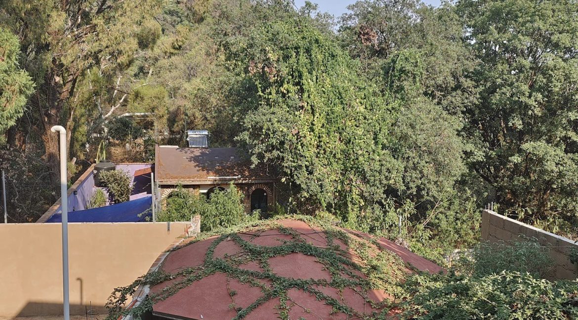 344877681_236764625623616_109924793766028852_n