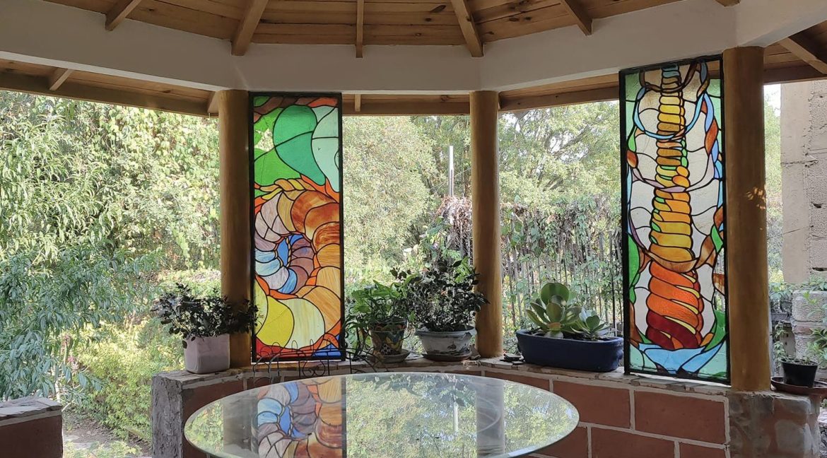 344899744_556822806348993_8606750043915811091_n