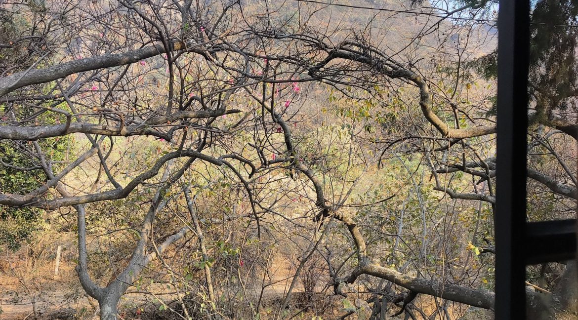 649905154_1594041579391862_8947037891169081841_n