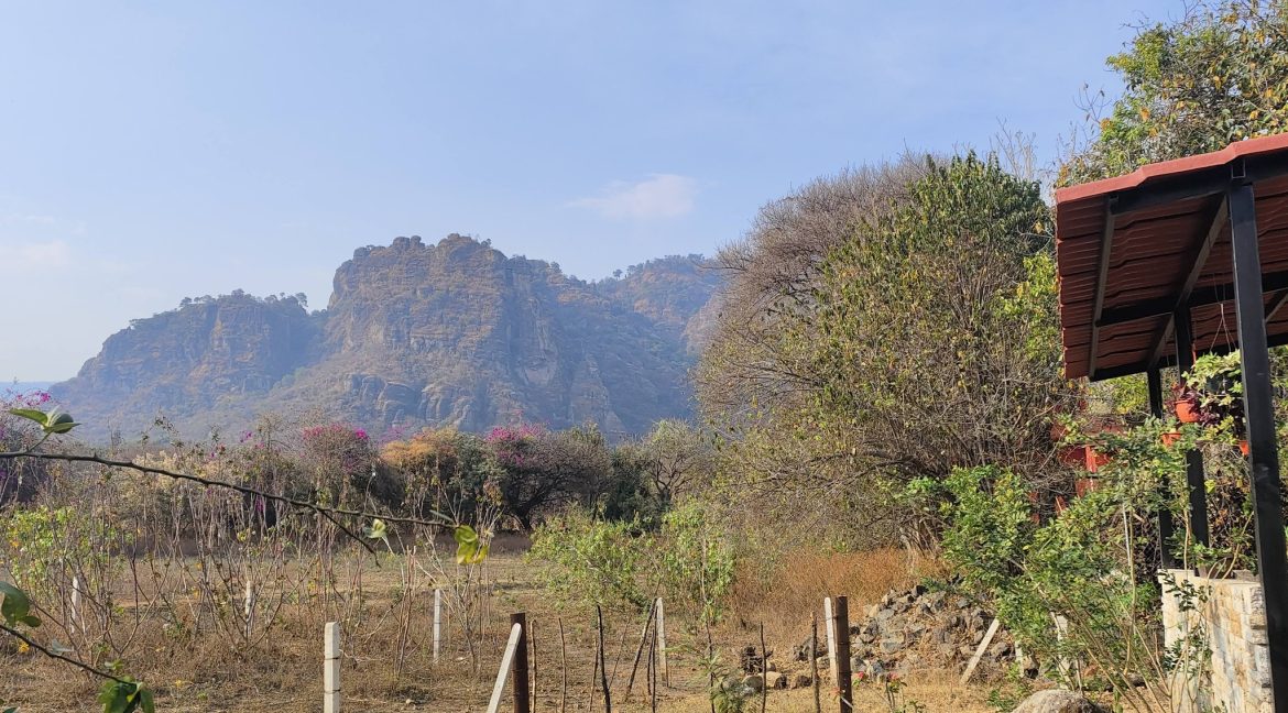 649916654_1594041159391904_2771247674876478977_n