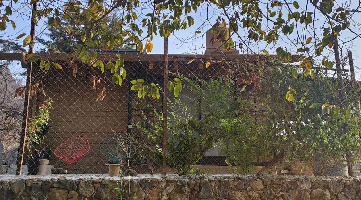 649940954_1594041859391834_6373936948330255251_n