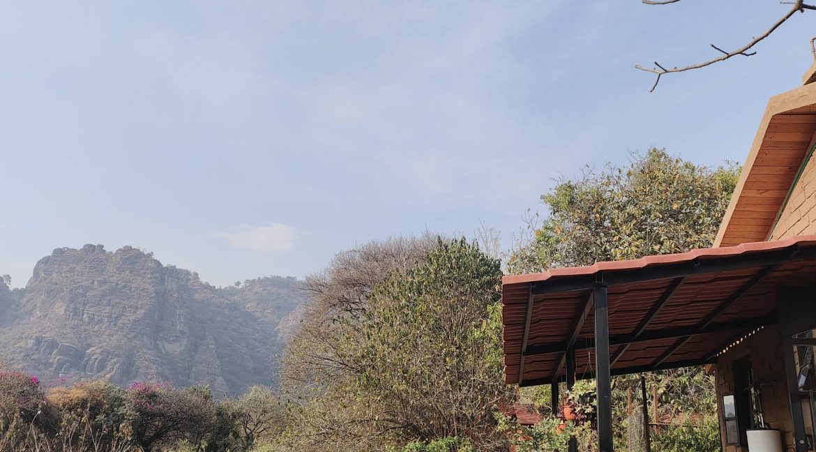 650137251_1594041062725247_3307448198086436926_n