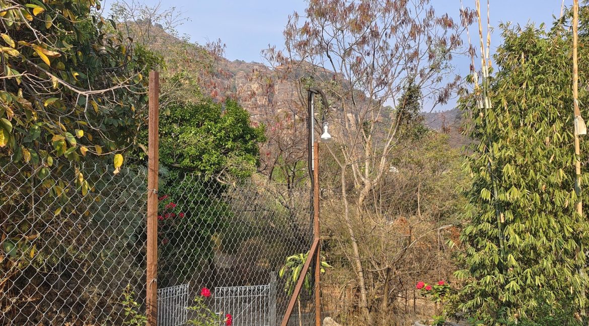 650463307_1594041372725216_2506744653390055812_n