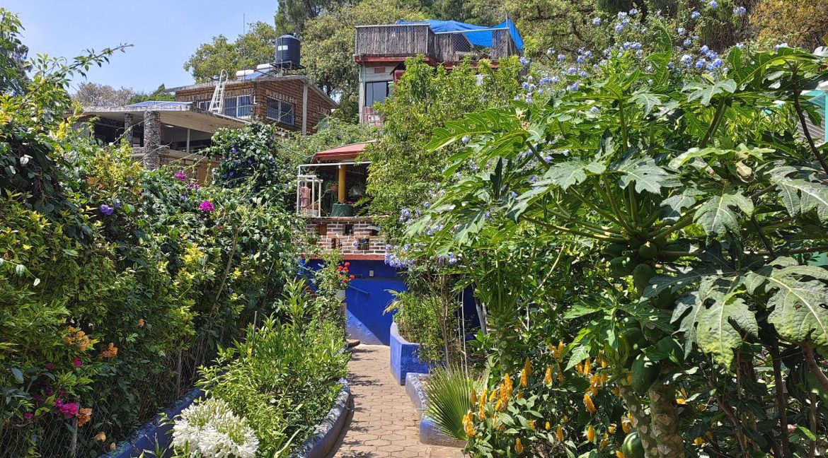 654642054_1603640201765333_8204894811862420725_n