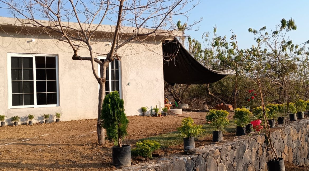 WhatsApp Image 2026-02-27 at 09.55.57