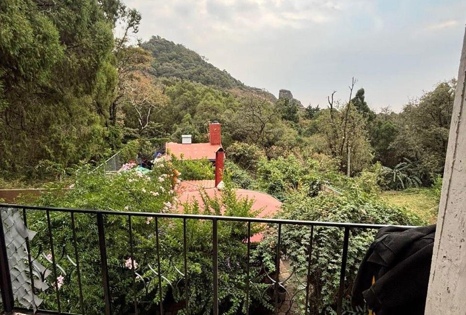 WhatsApp Image 2026-03-14 at 15.17.27