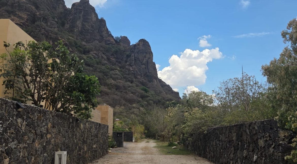 WhatsApp Image 2026-03-31 at 12.07.46 PM