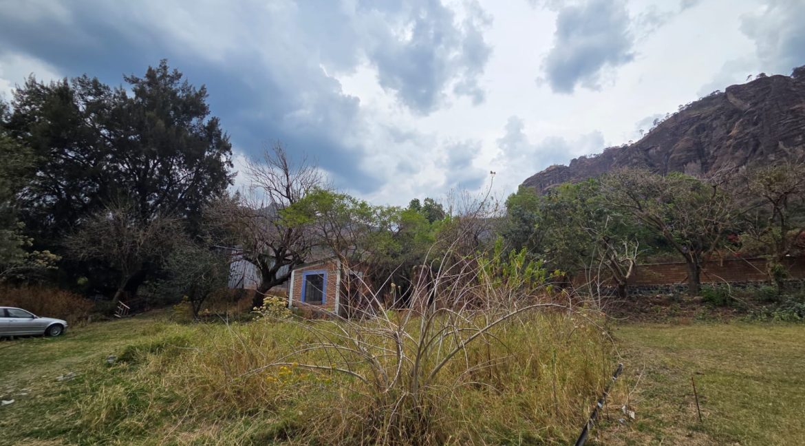 WhatsApp Image 2026-03-31 at 12.07.48 PM