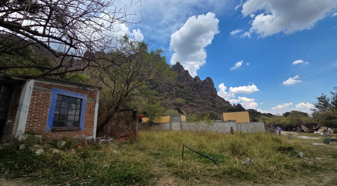 WhatsApp Image 2026-03-31 at 12.07.52 PM