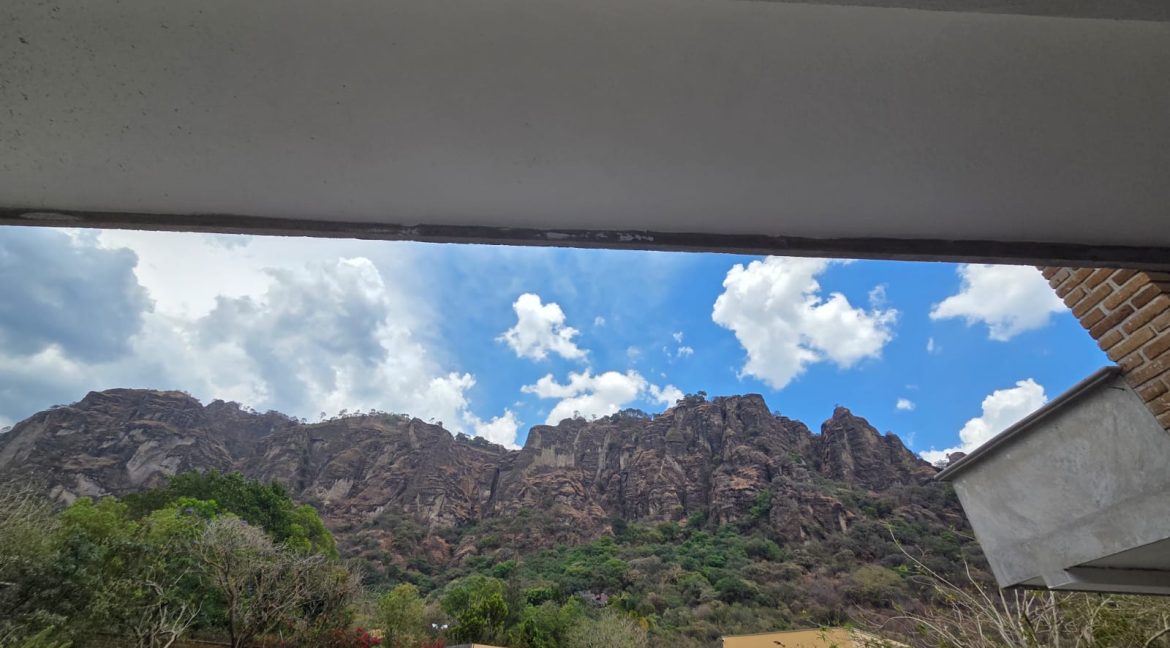 WhatsApp Image 2026-03-31 at 12.11.22 PM